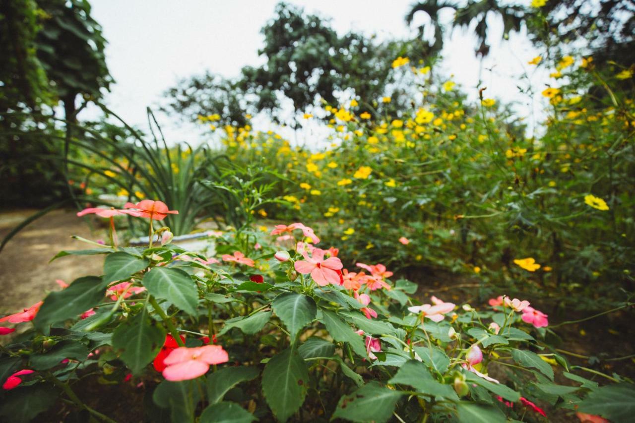 Bavi Homestead Ba Vi Luaran gambar