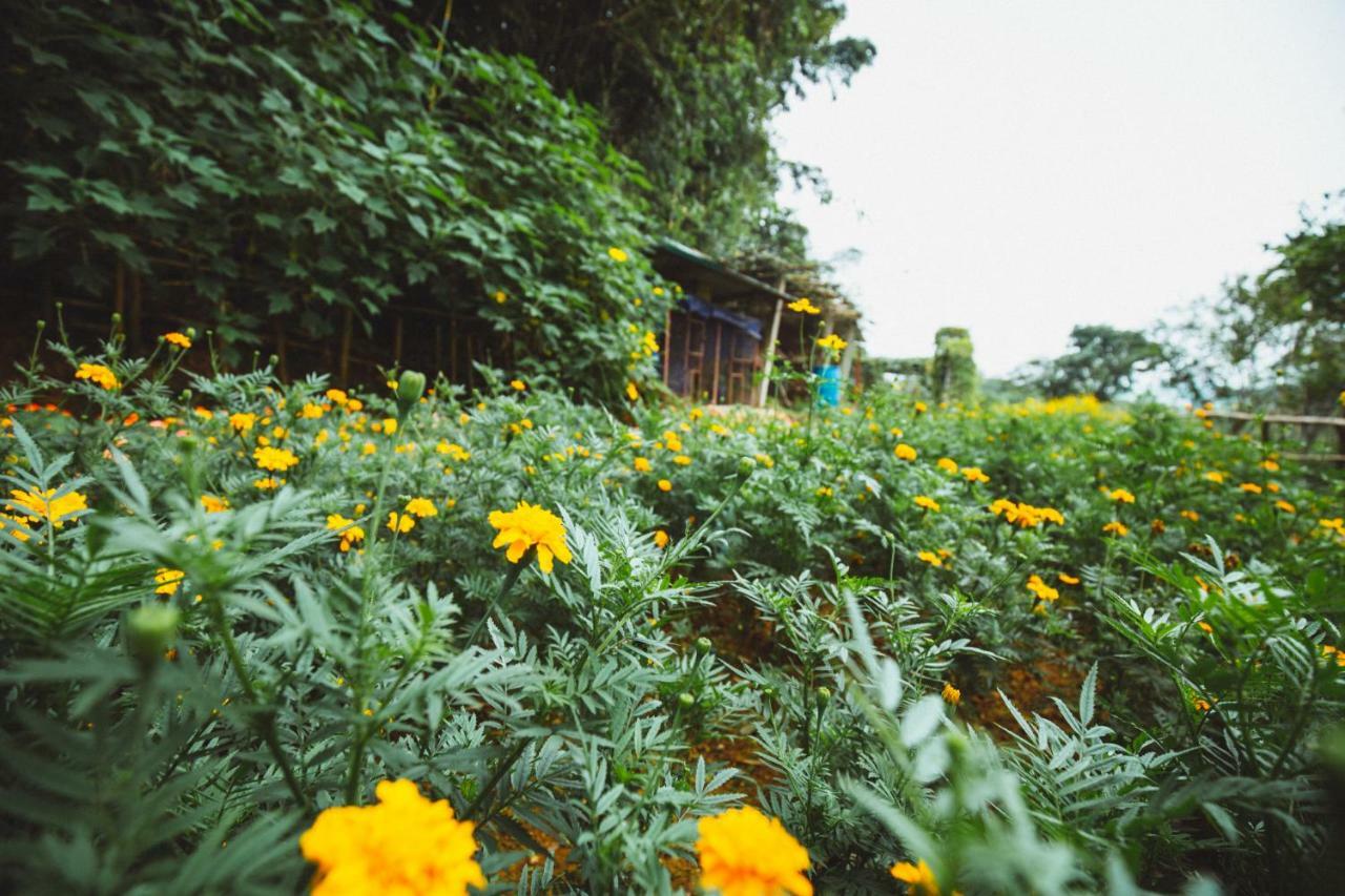 Bavi Homestead Ba Vi Luaran gambar