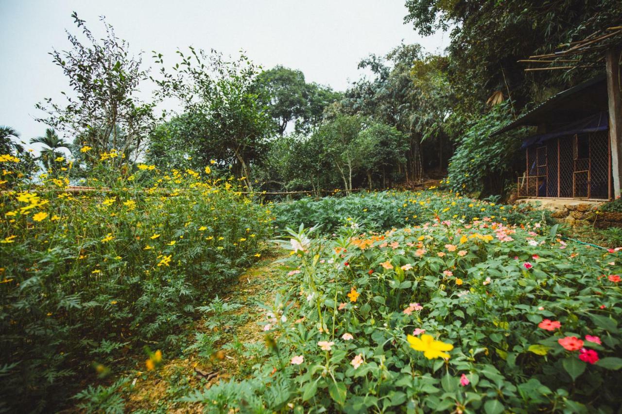 Bavi Homestead Ba Vi Luaran gambar